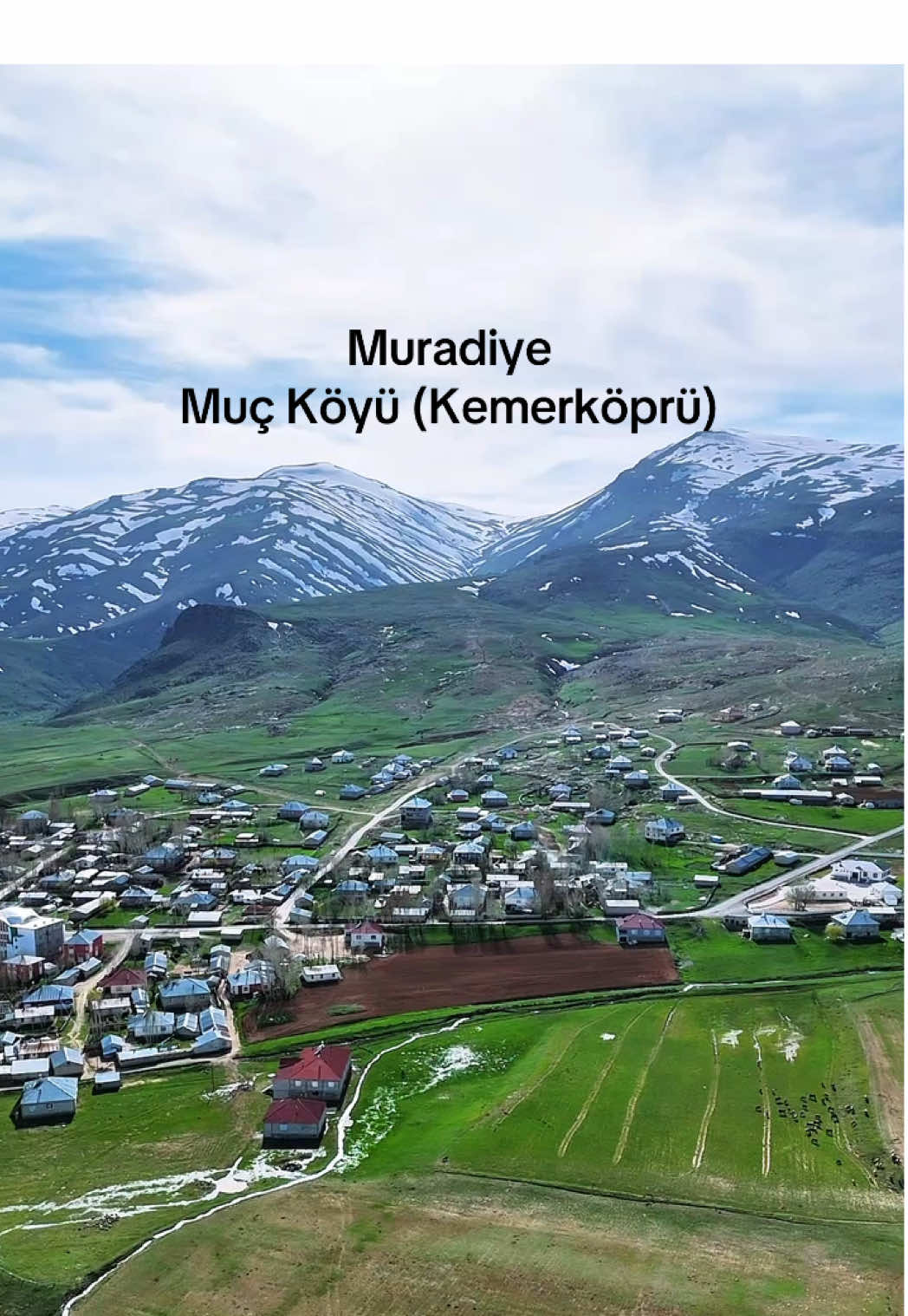 @Muzaffer Salcıoğlu