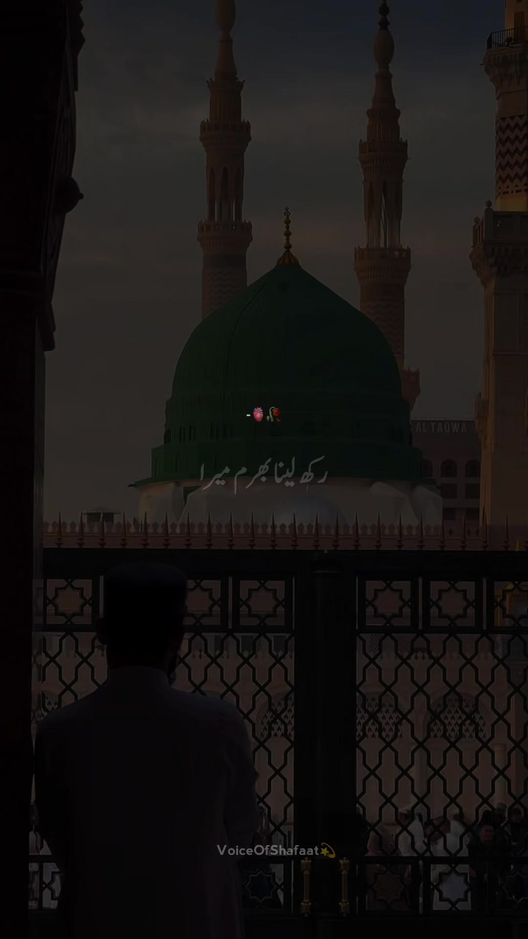 @VoiceOfShafaat💫