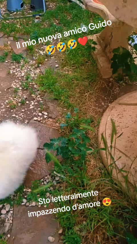 @Veronica mendy