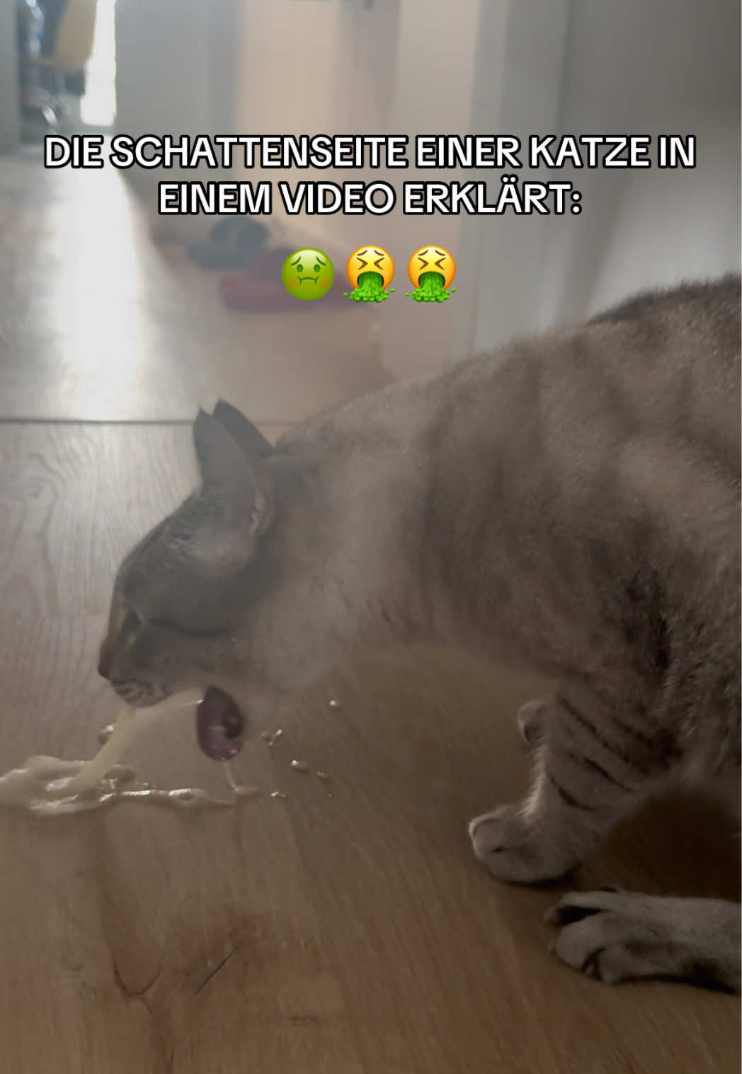 @Tugay