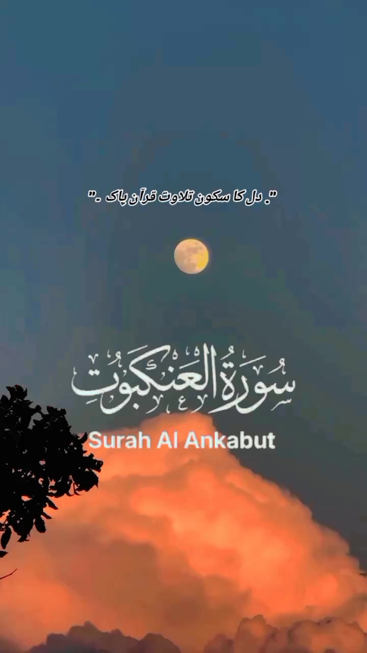 @گمنام دل❤️🩹