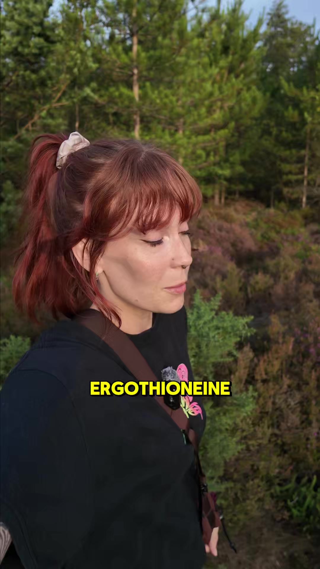 @Ancient Extracts