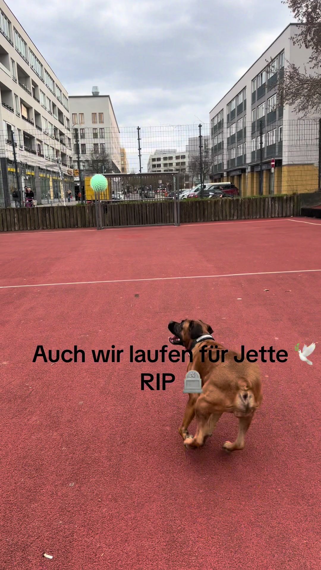 @Toni.turnschuh