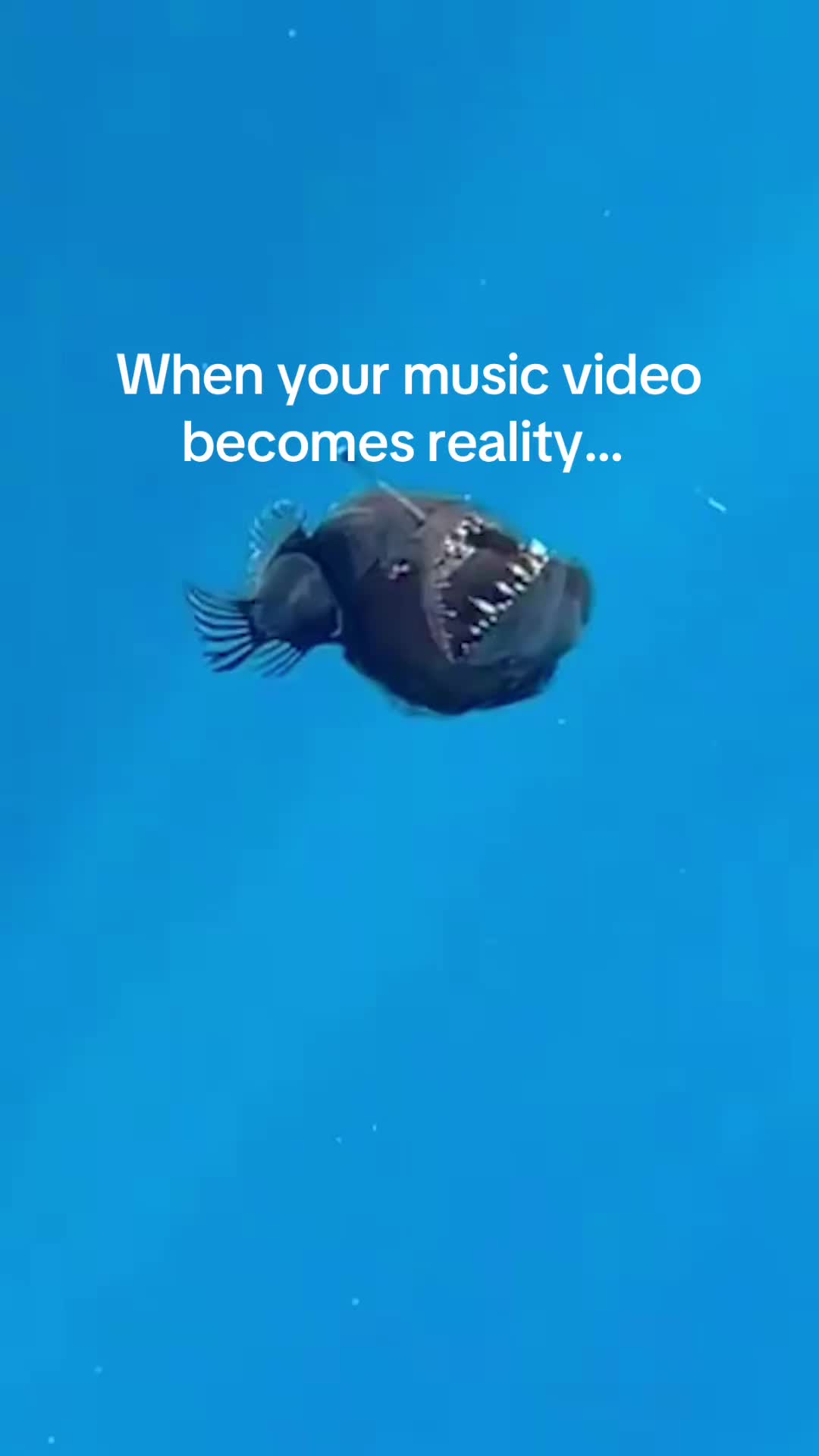 @nightwish