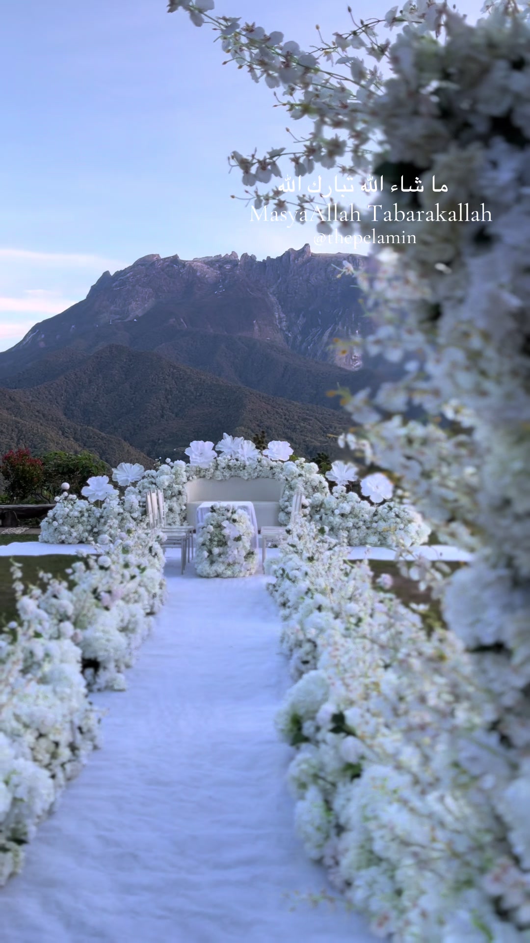 @thepelamin