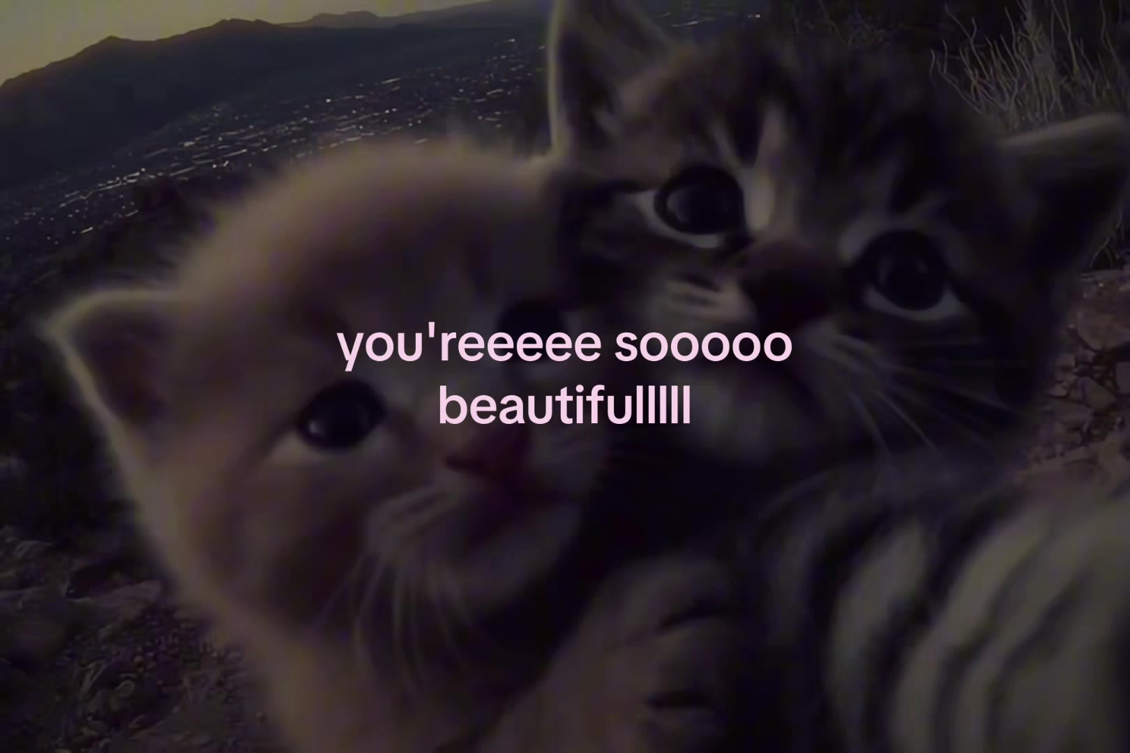 @sxalenz