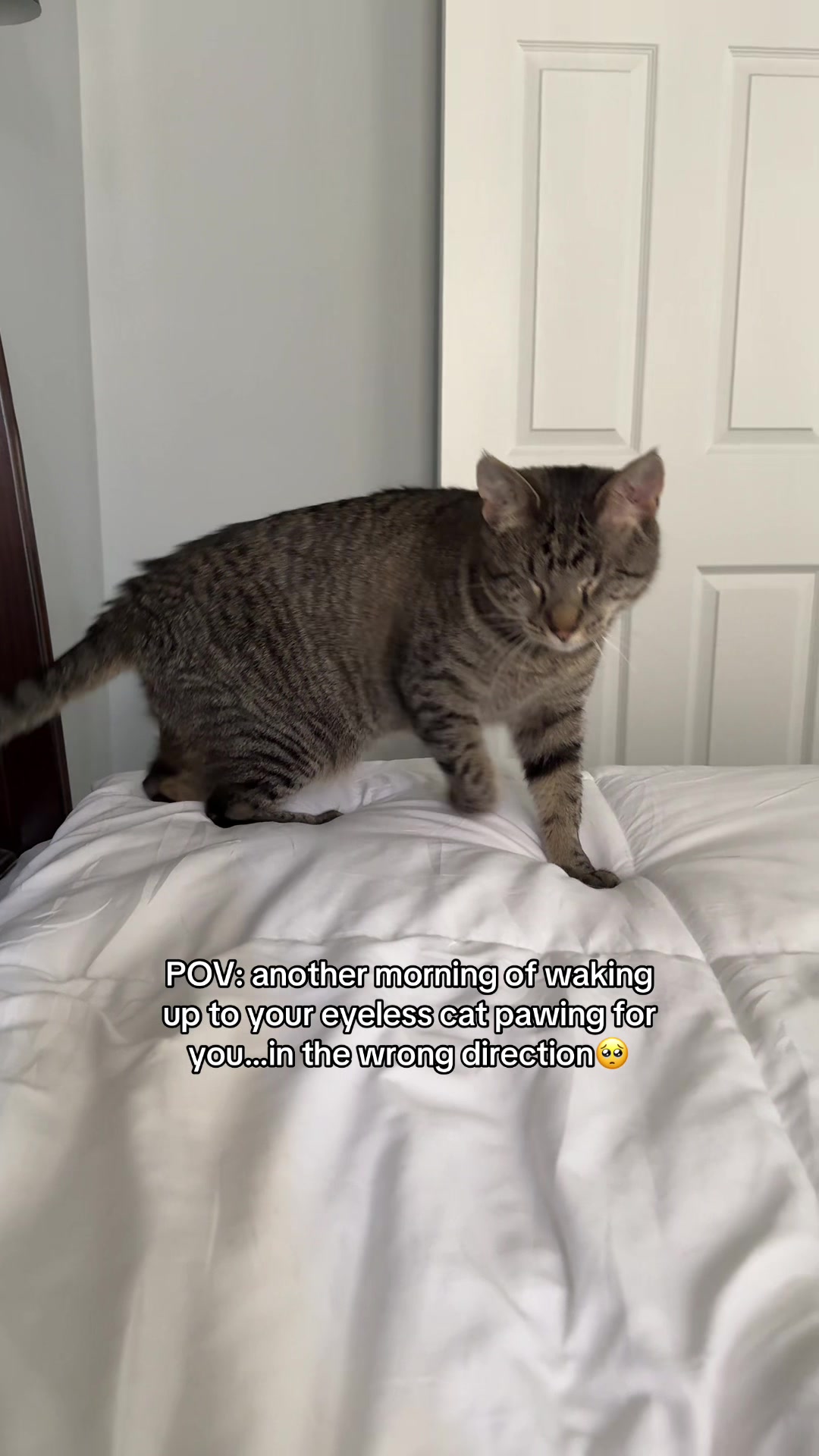 @𝘼𝙢𝙗𝙚𝙧 & 𝙎𝙩𝙚𝙫𝙞𝙚