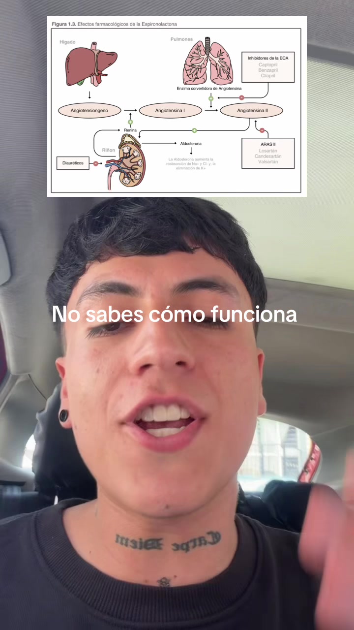 @ENDOBOY