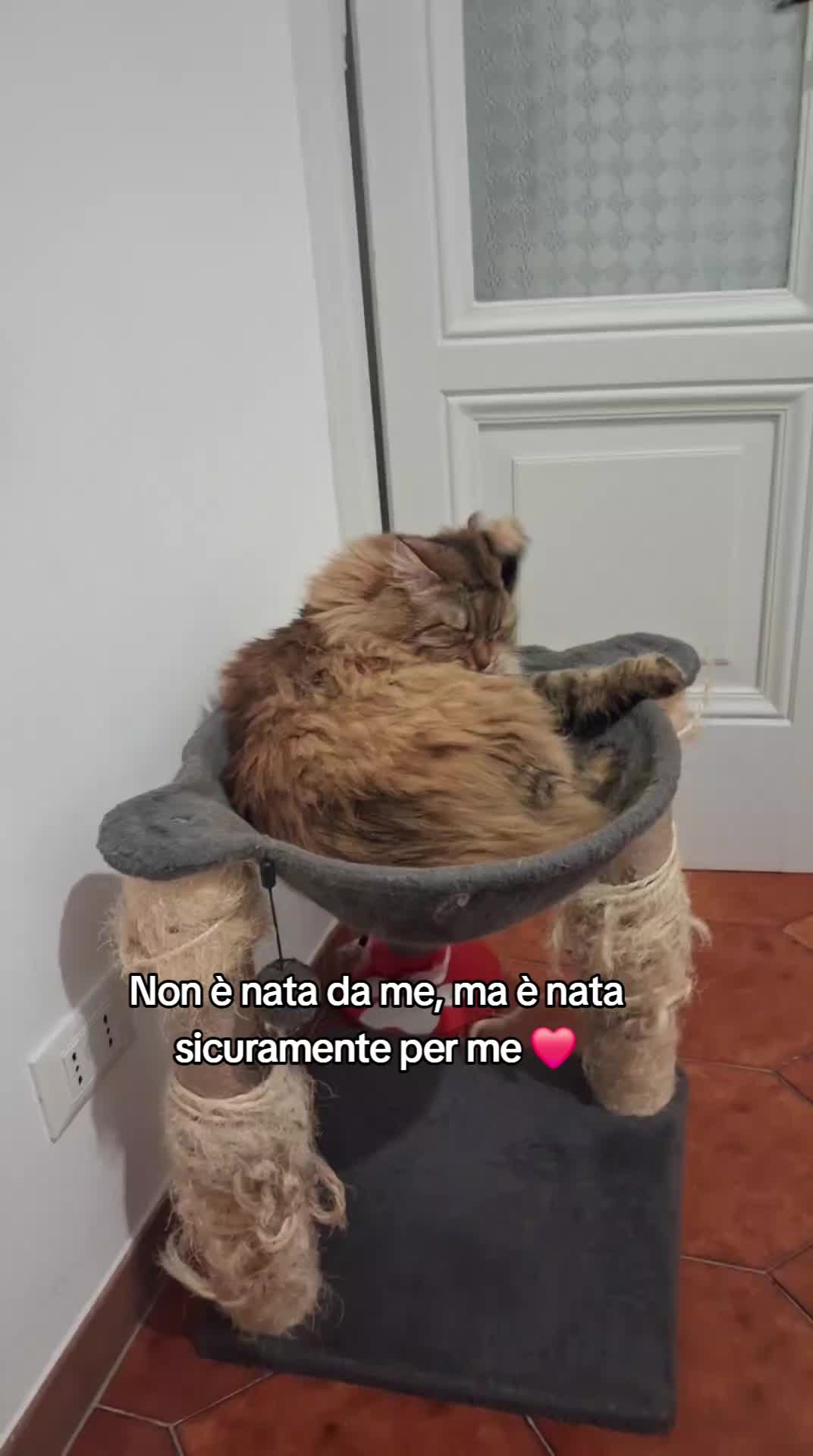@Alessia Donzelli