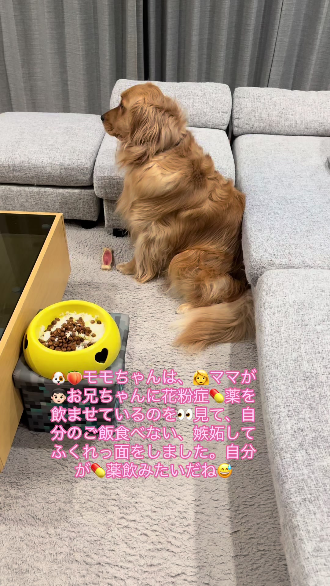 @ACIKA🇯🇵🇲🇨MOMO🍑🐶