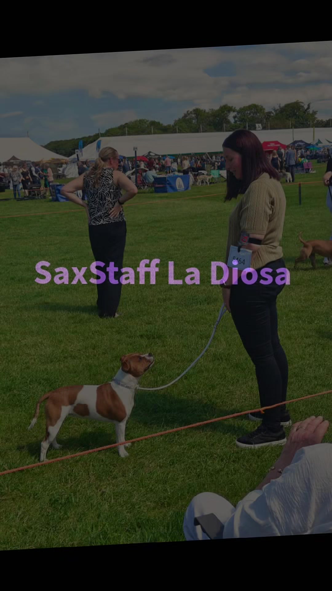 @Saxstaff_Staffords