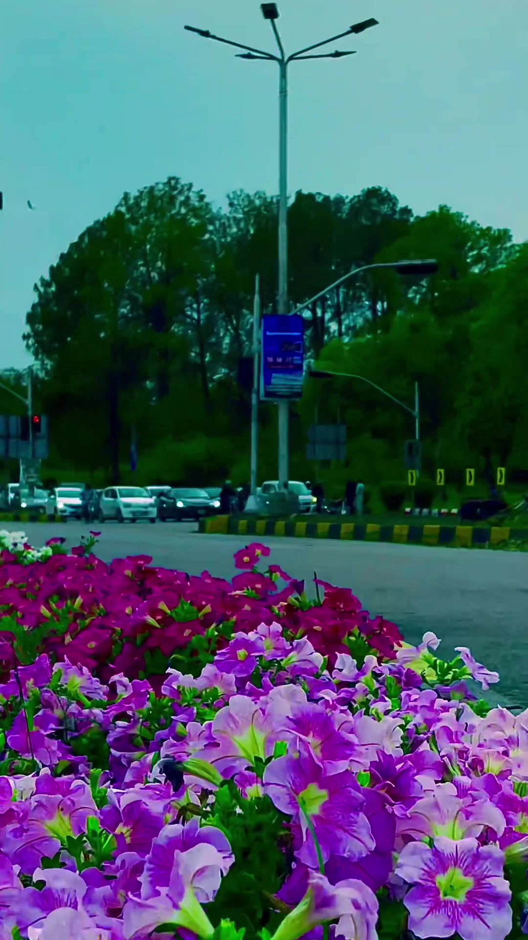 @Islamabad_view🎋