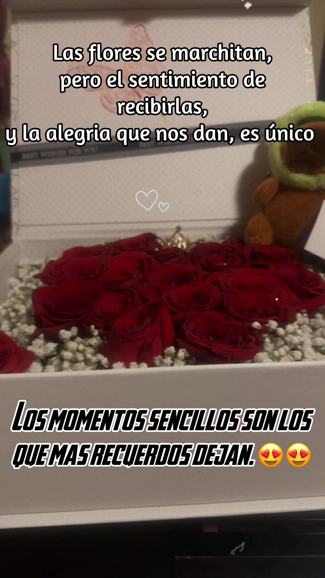 @Lucy