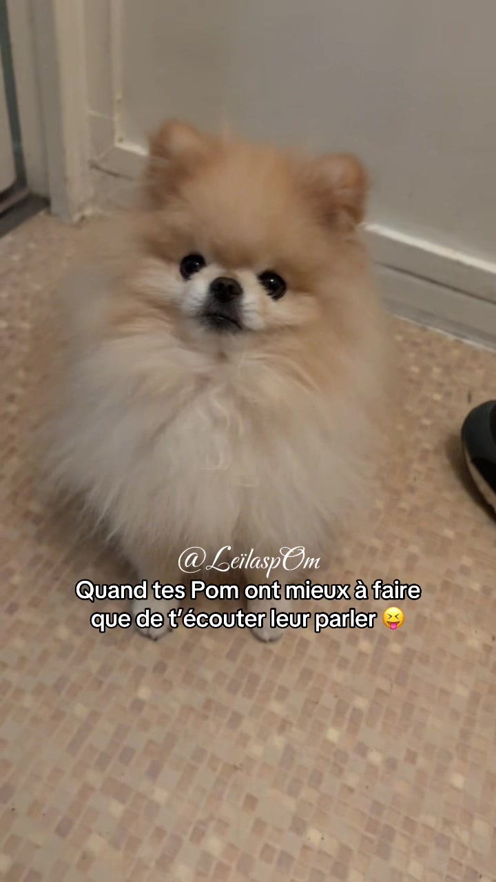 @🎀Leïla’spOm🎀