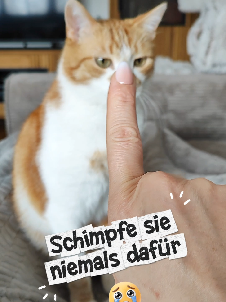 @😻нⷩeͤjdͩiͥneͤ😻