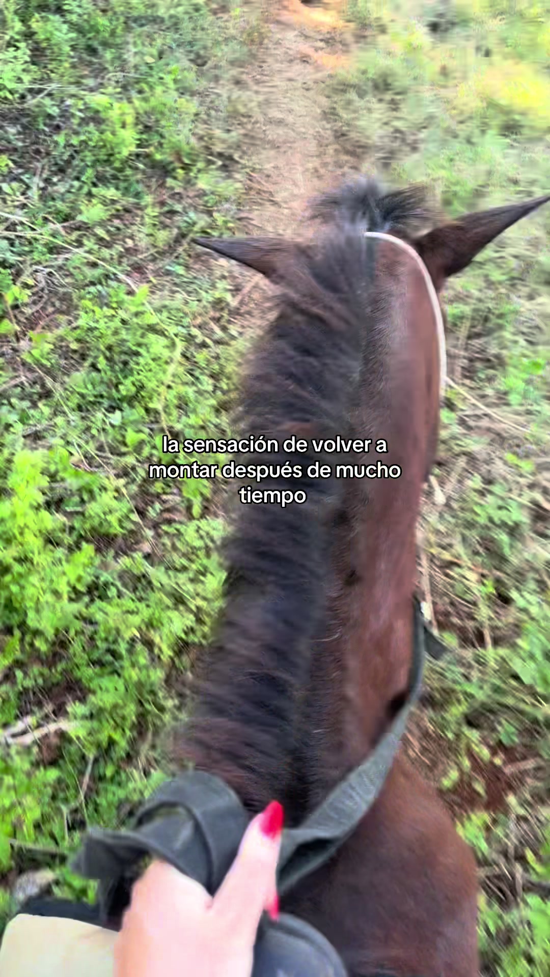 @paula ☾