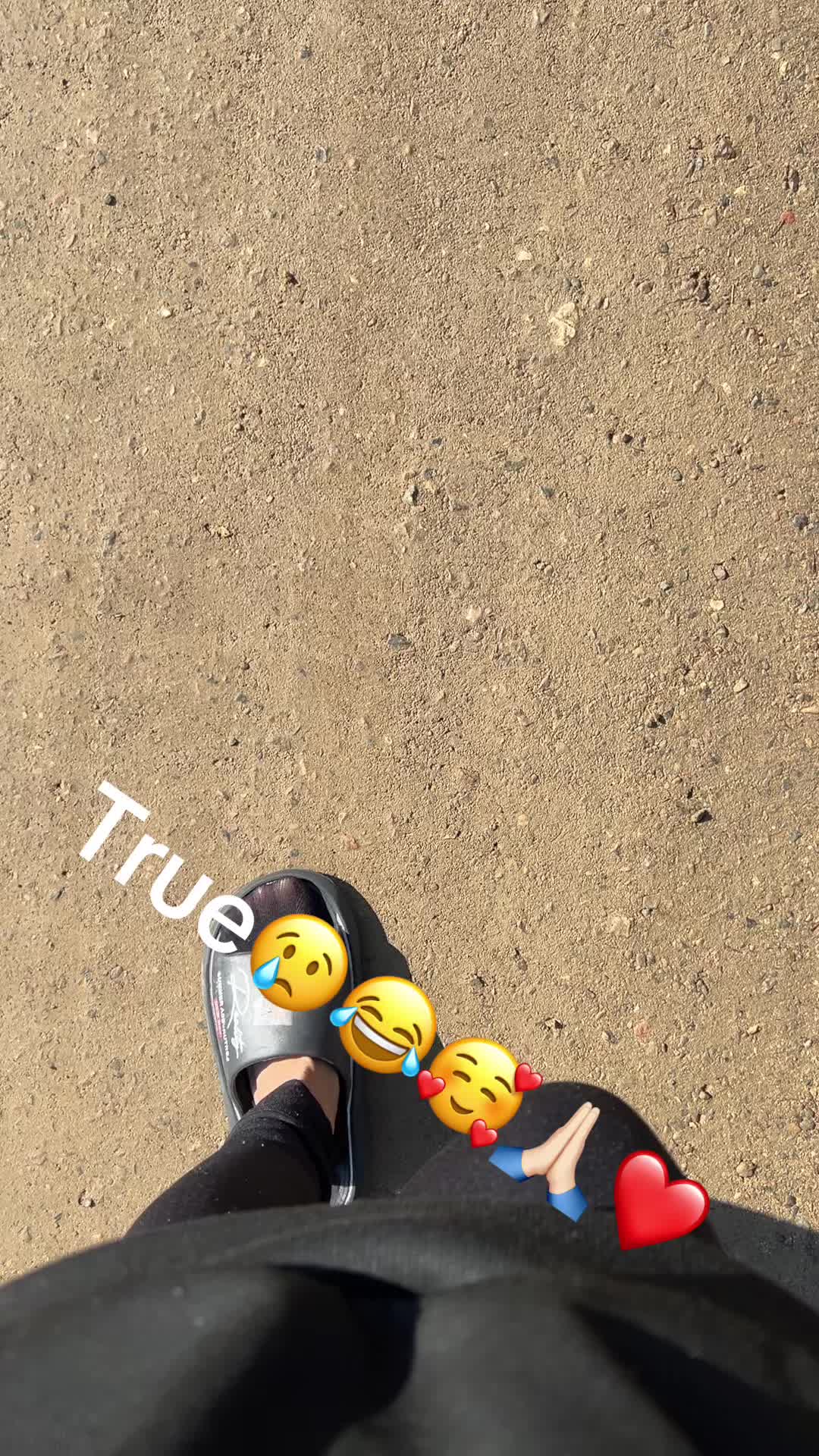@hildavbermudes