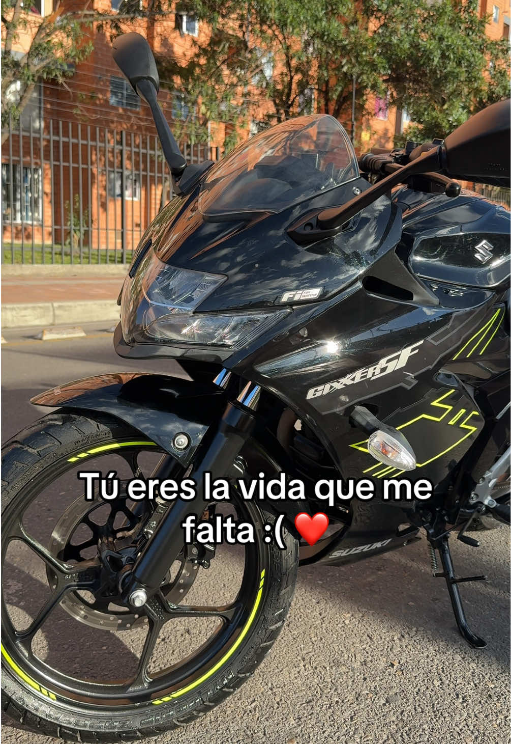 @Angélica Román 🎀