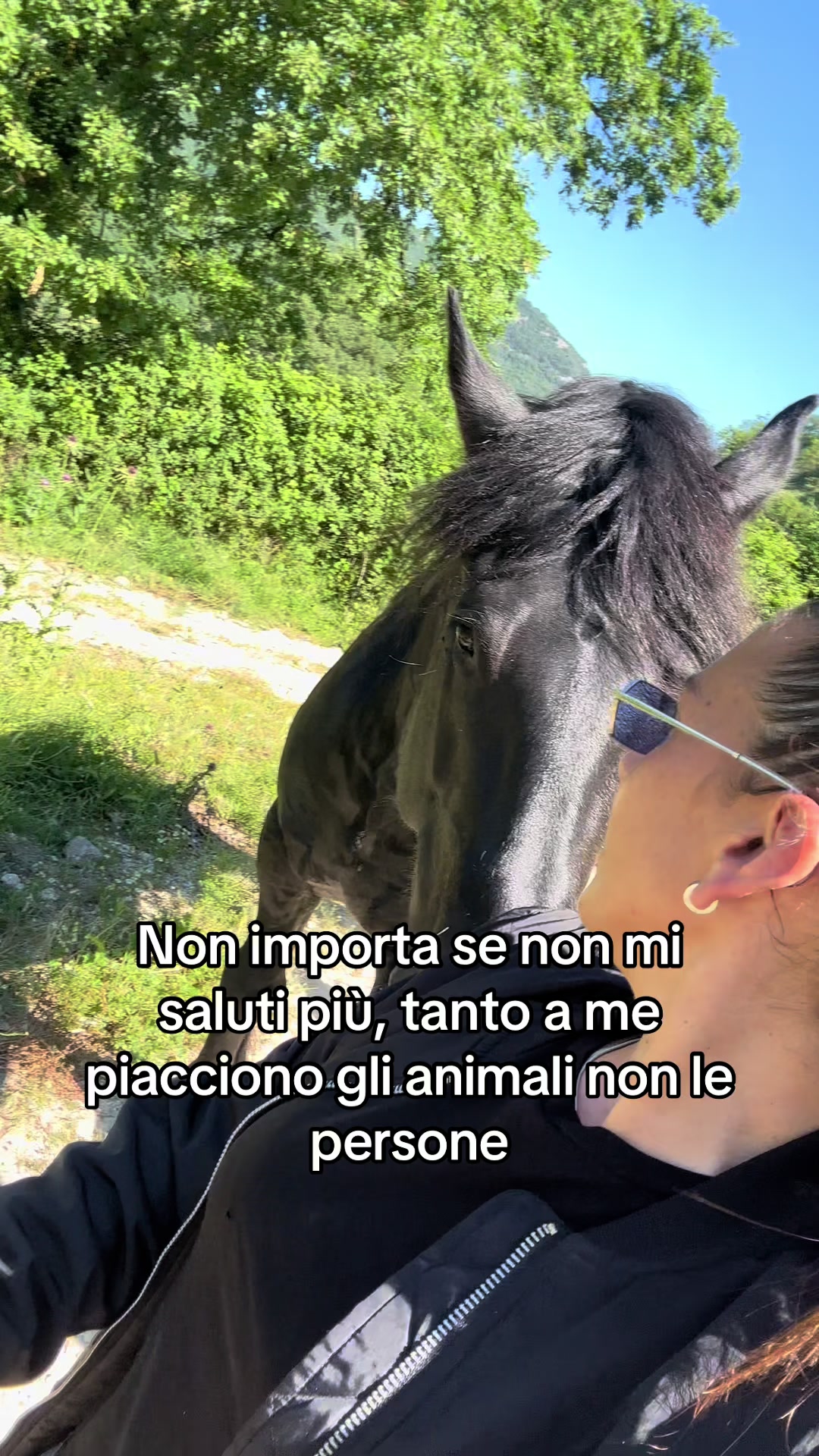 @black_the_friesian