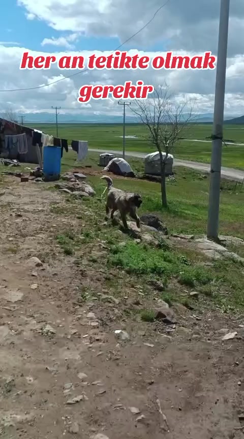 @Yusuf saldık