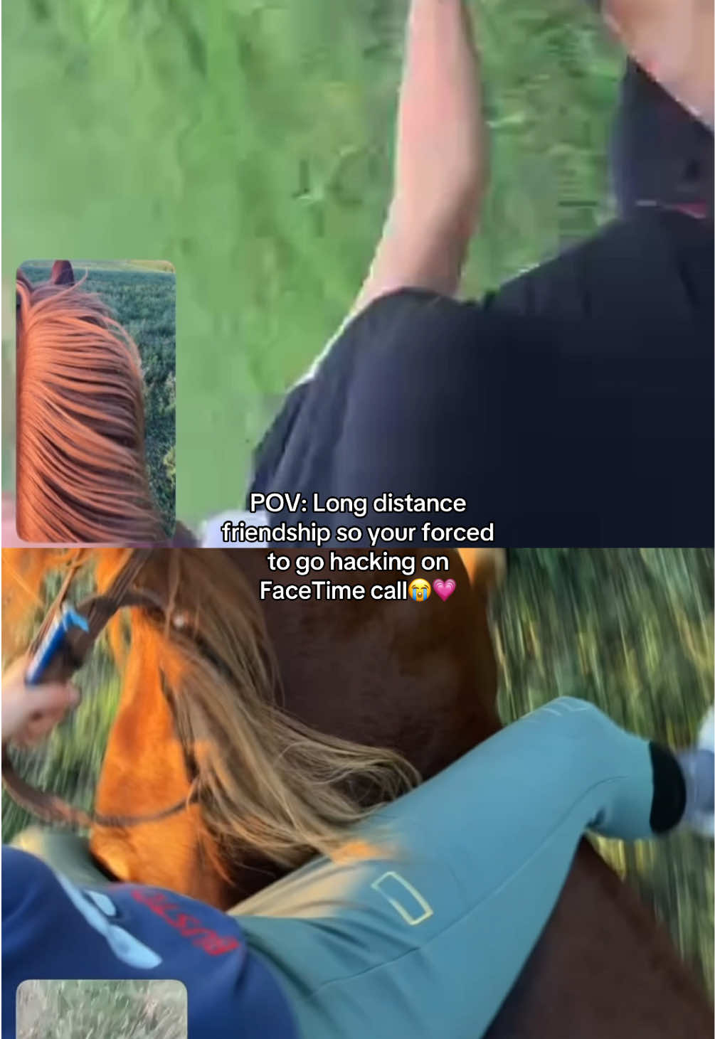 @Lisa Gaudiano