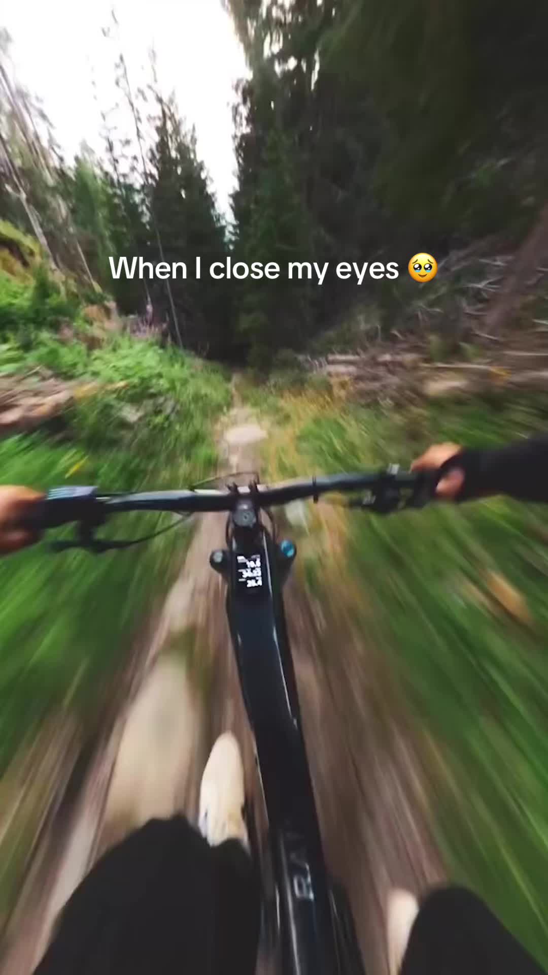 @raevr