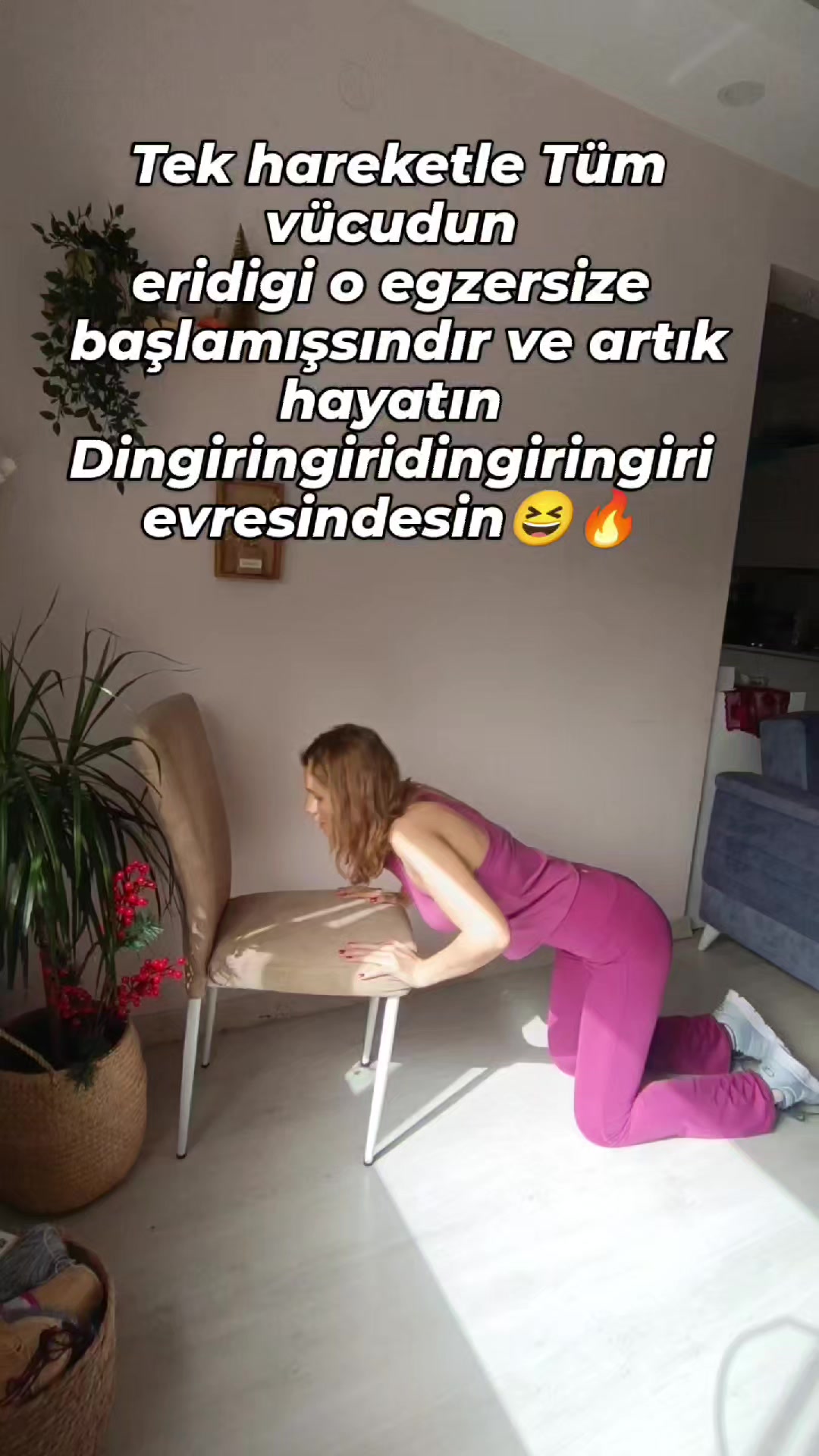 @ipekmori