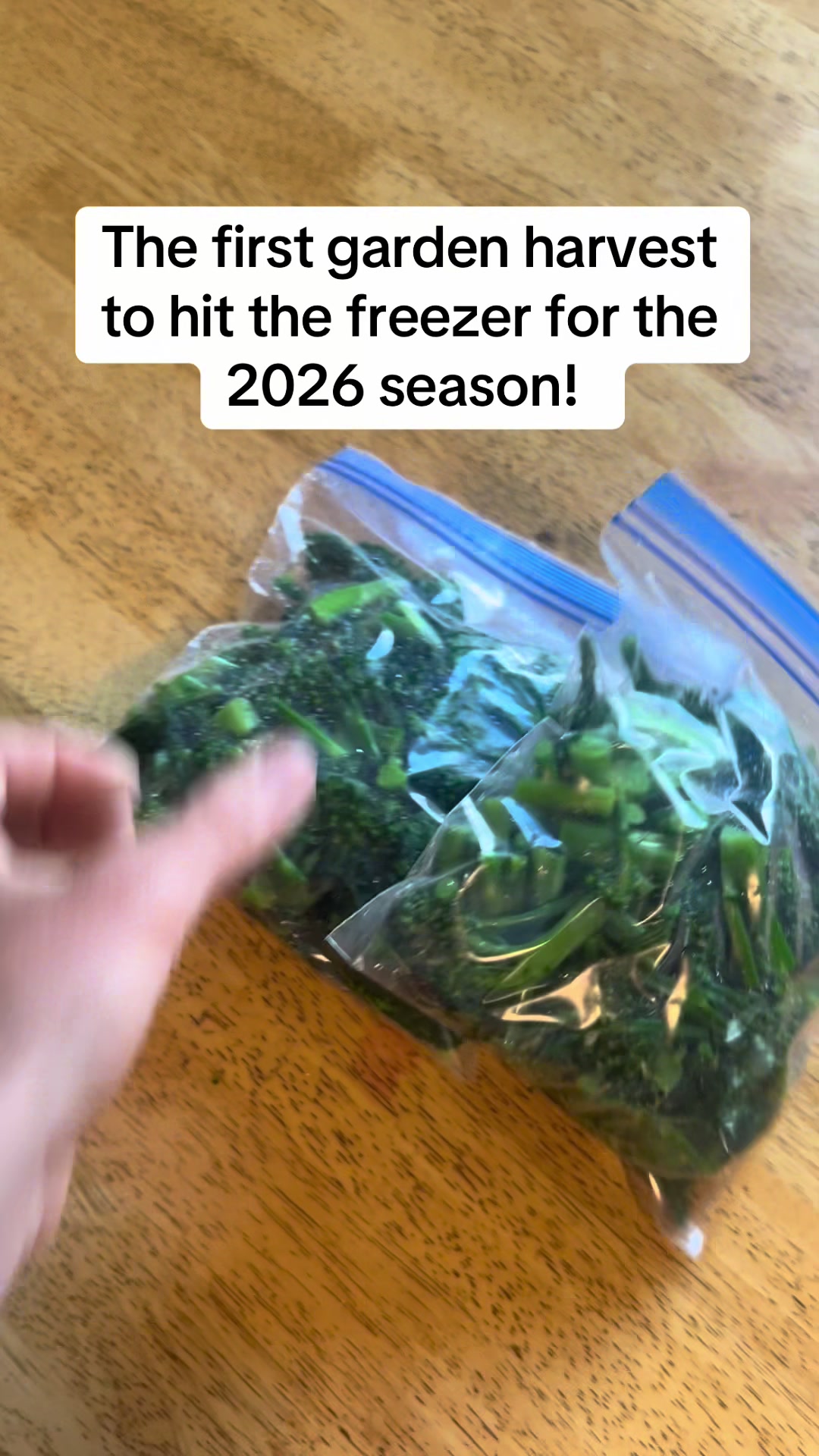 @littlesandycreekfarm