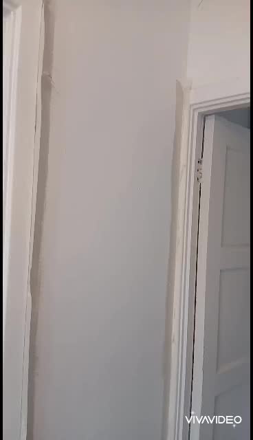 @ᥫ᭡ ѕ&rho;єccу т&alpha;ят 𝚓&alpha;&part;єє ᥫ᭡
