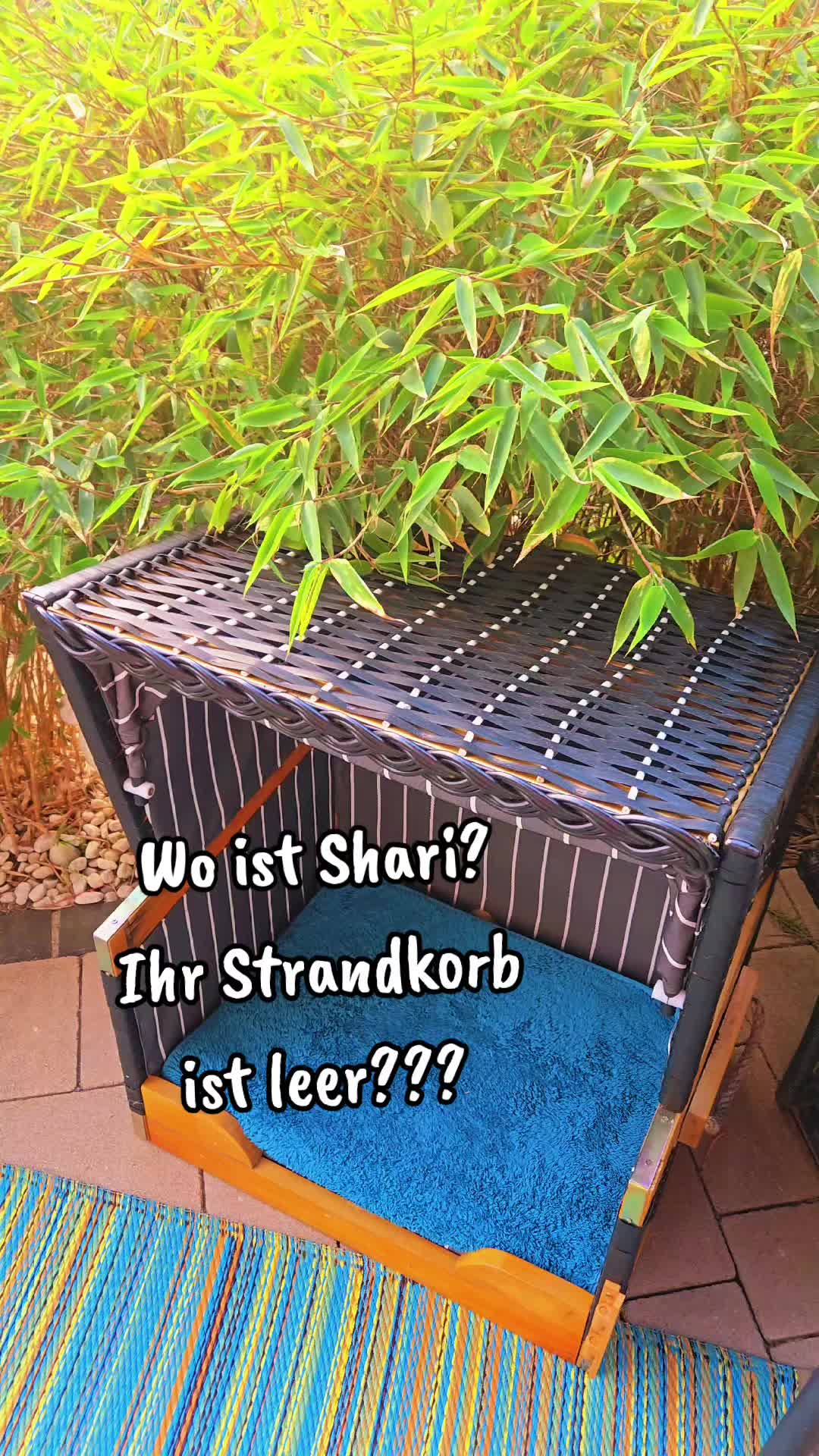 @Shari's wunderbare Welt