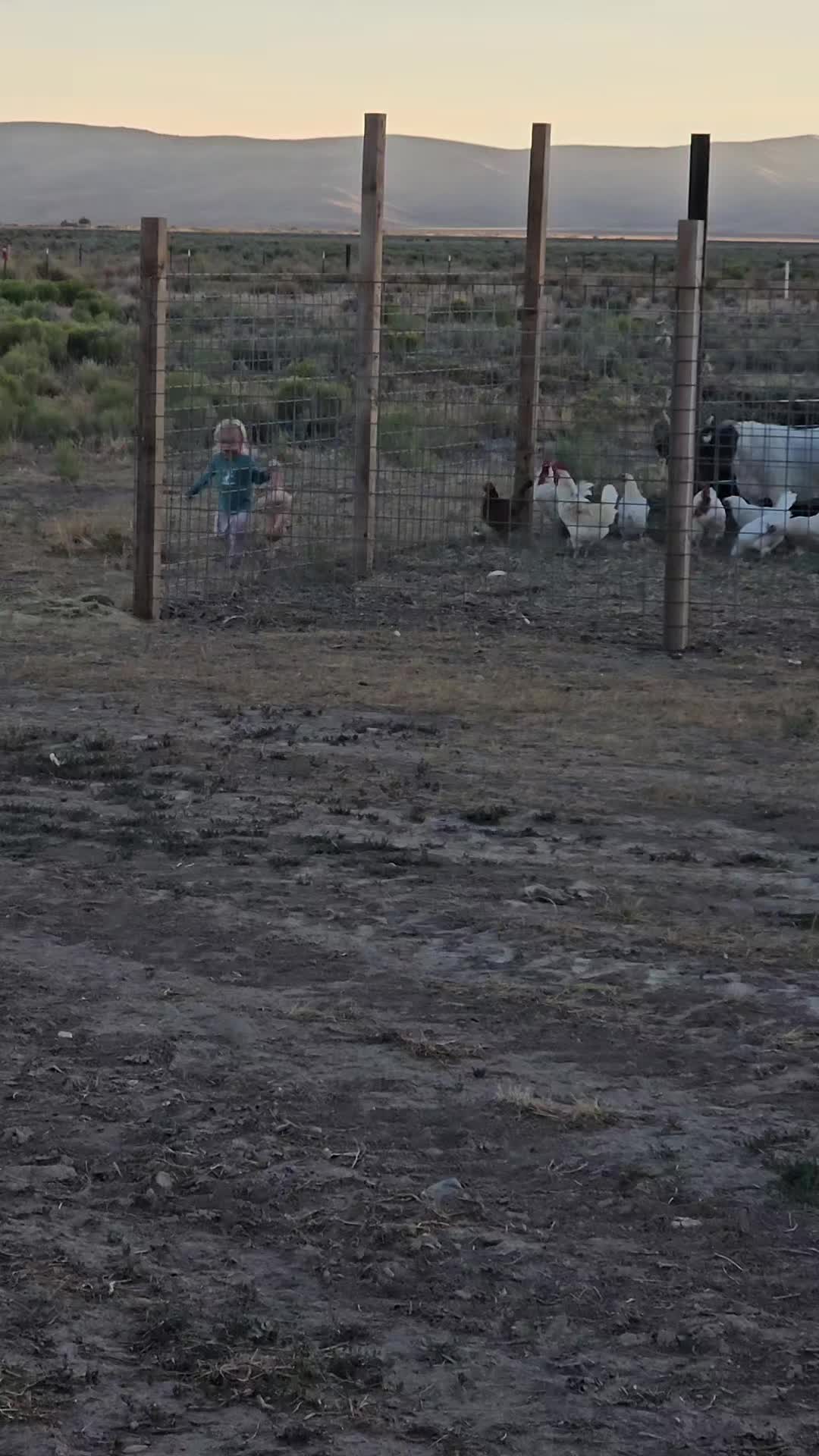 @B&G Bucking Bulls