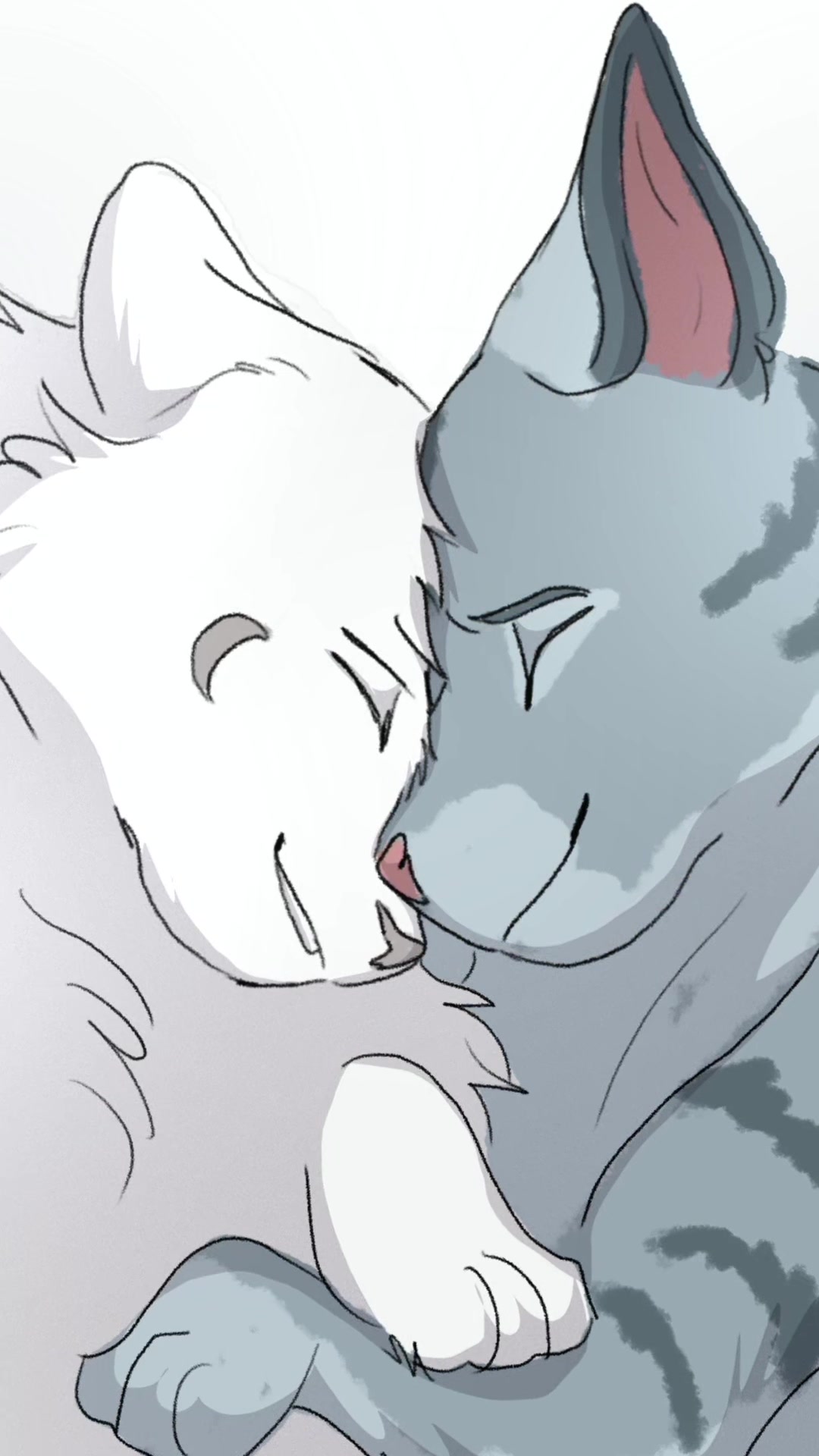 @Cattalents