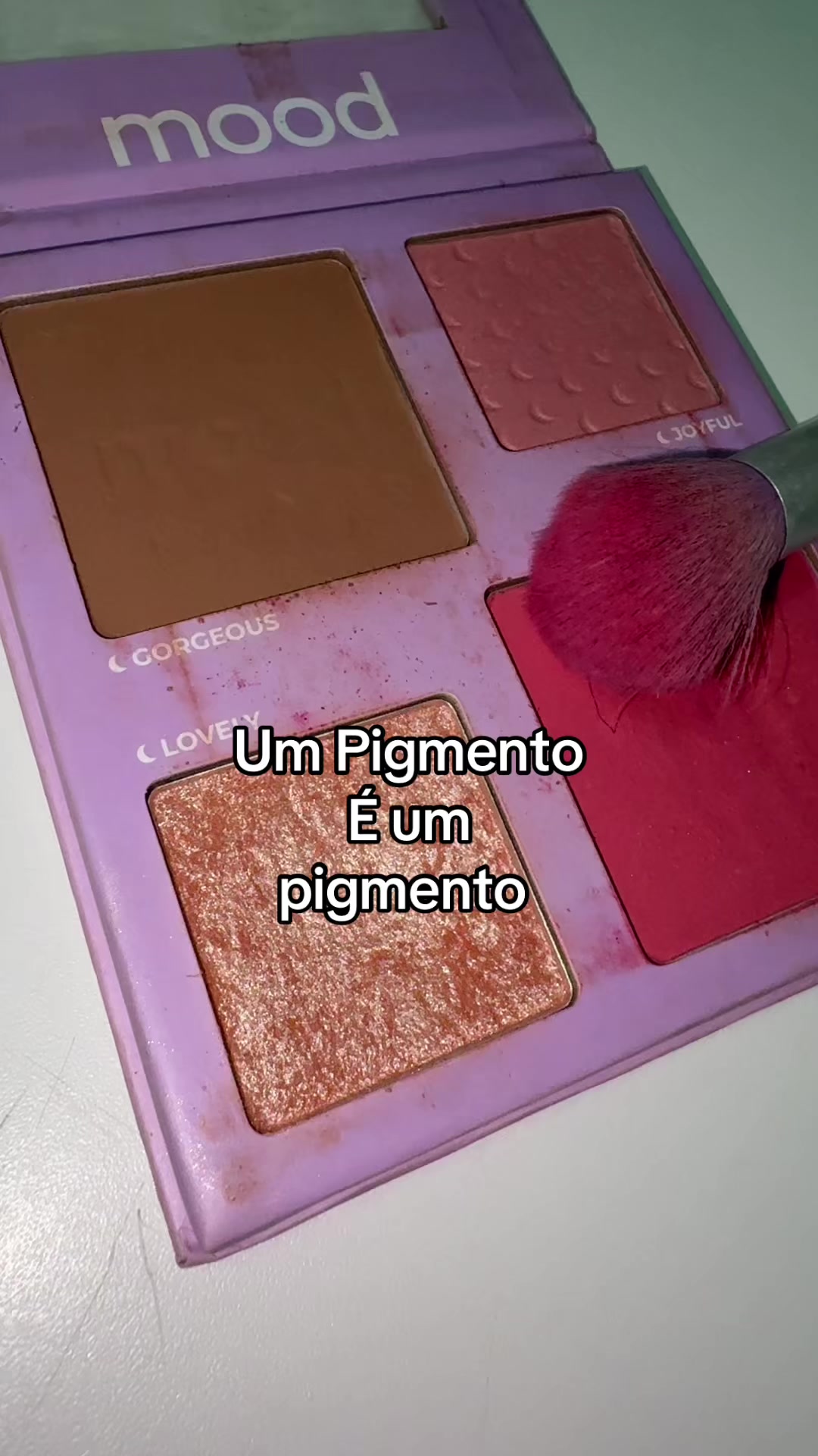 @Beatriz Araujo Shop Creator