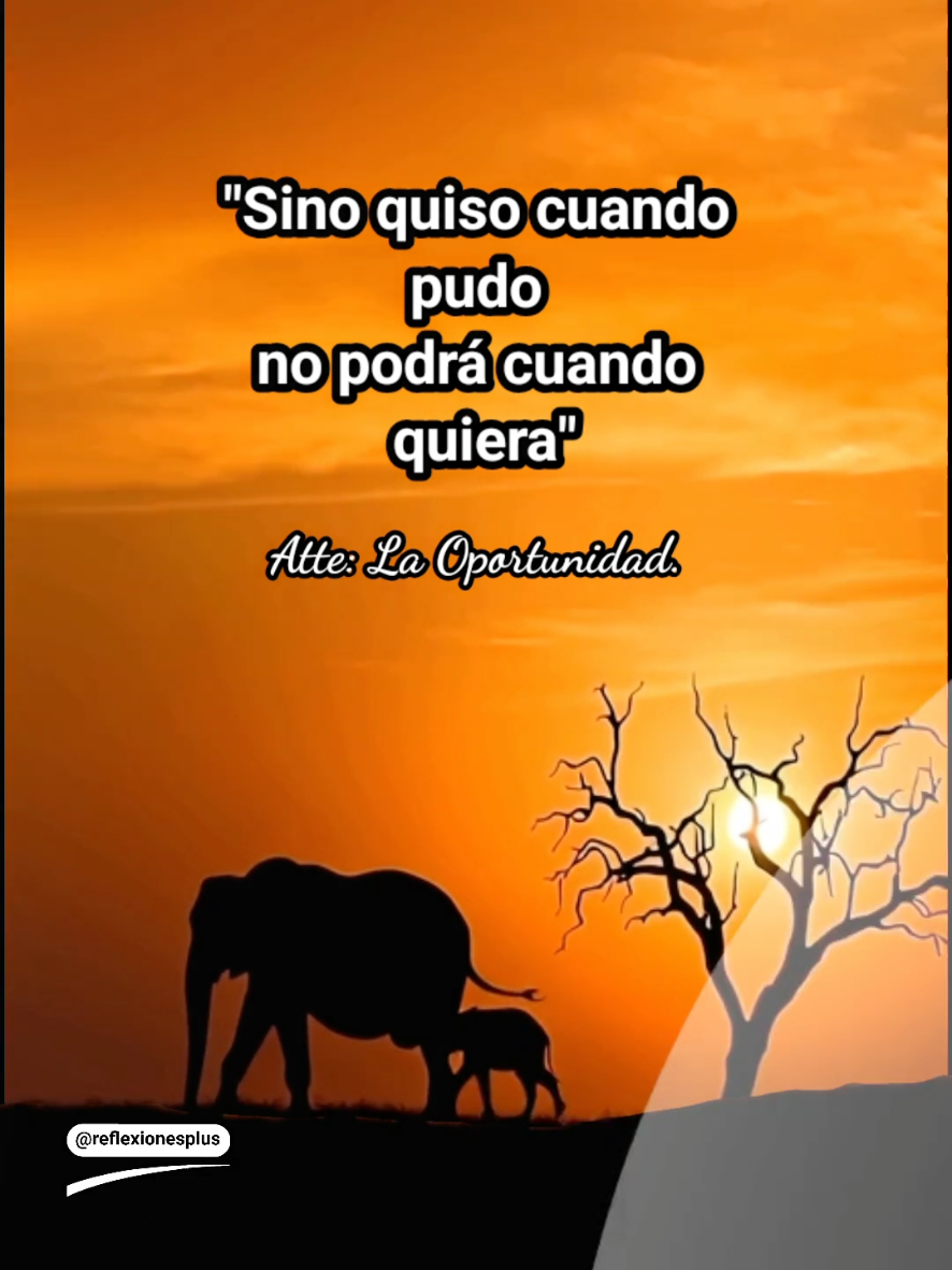 @reflexiones