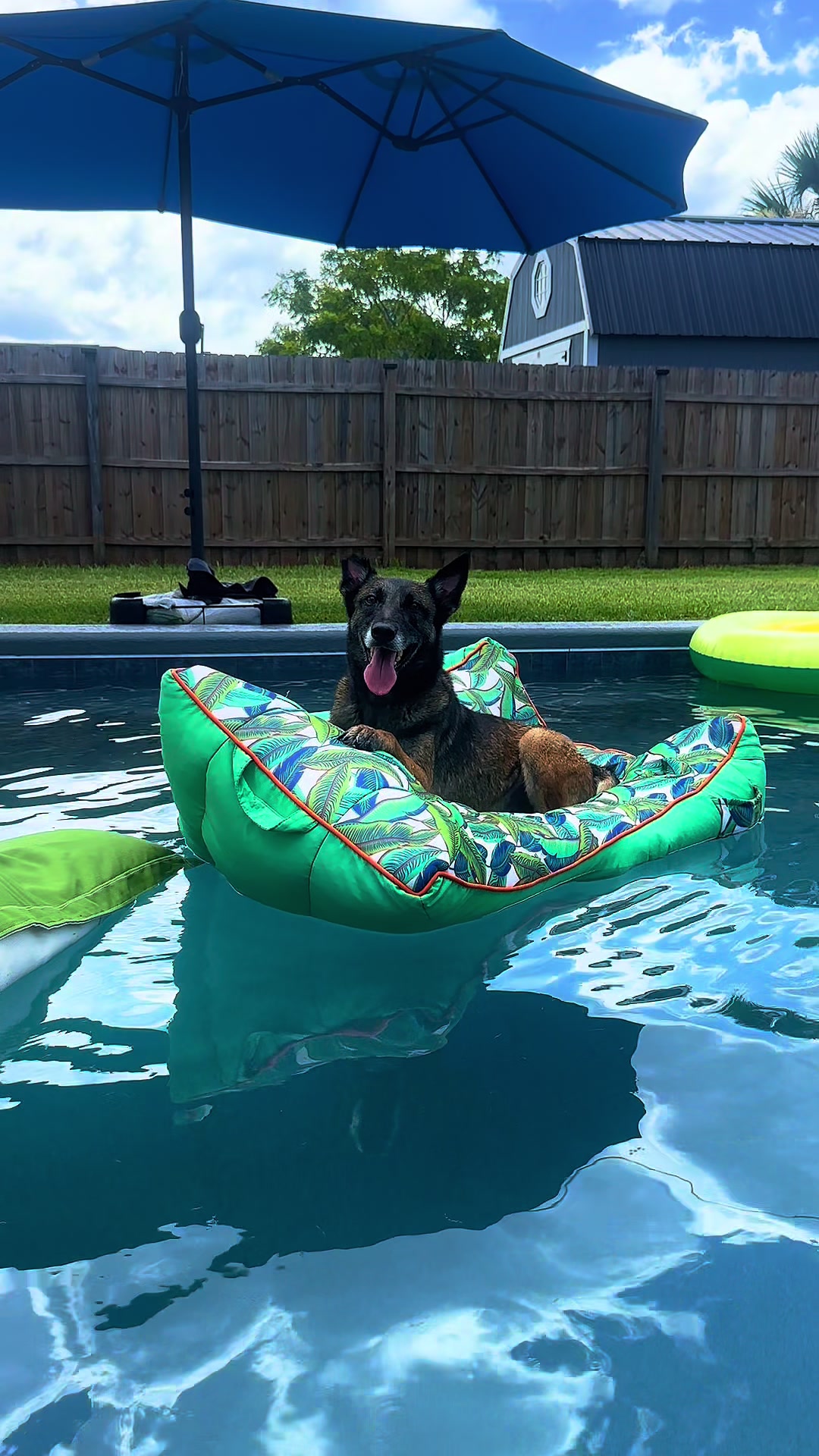 @K9.corporal