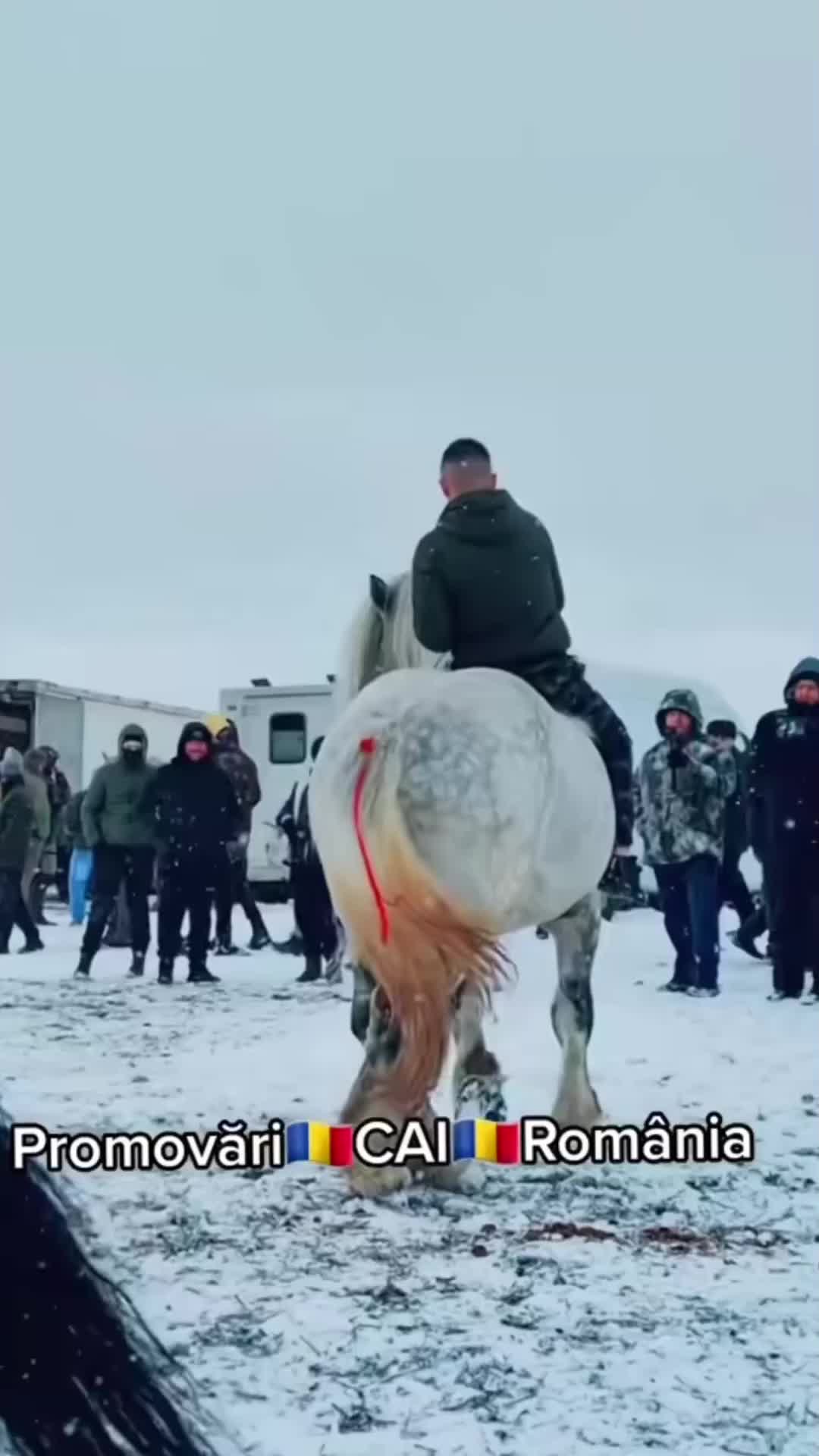@🐴spartanu80🐴