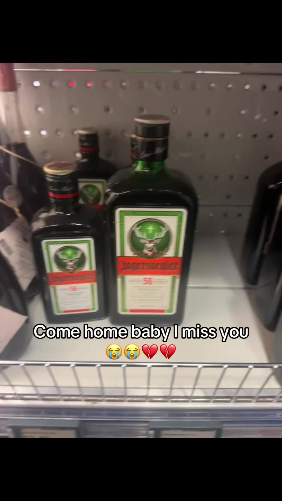 @🕷️