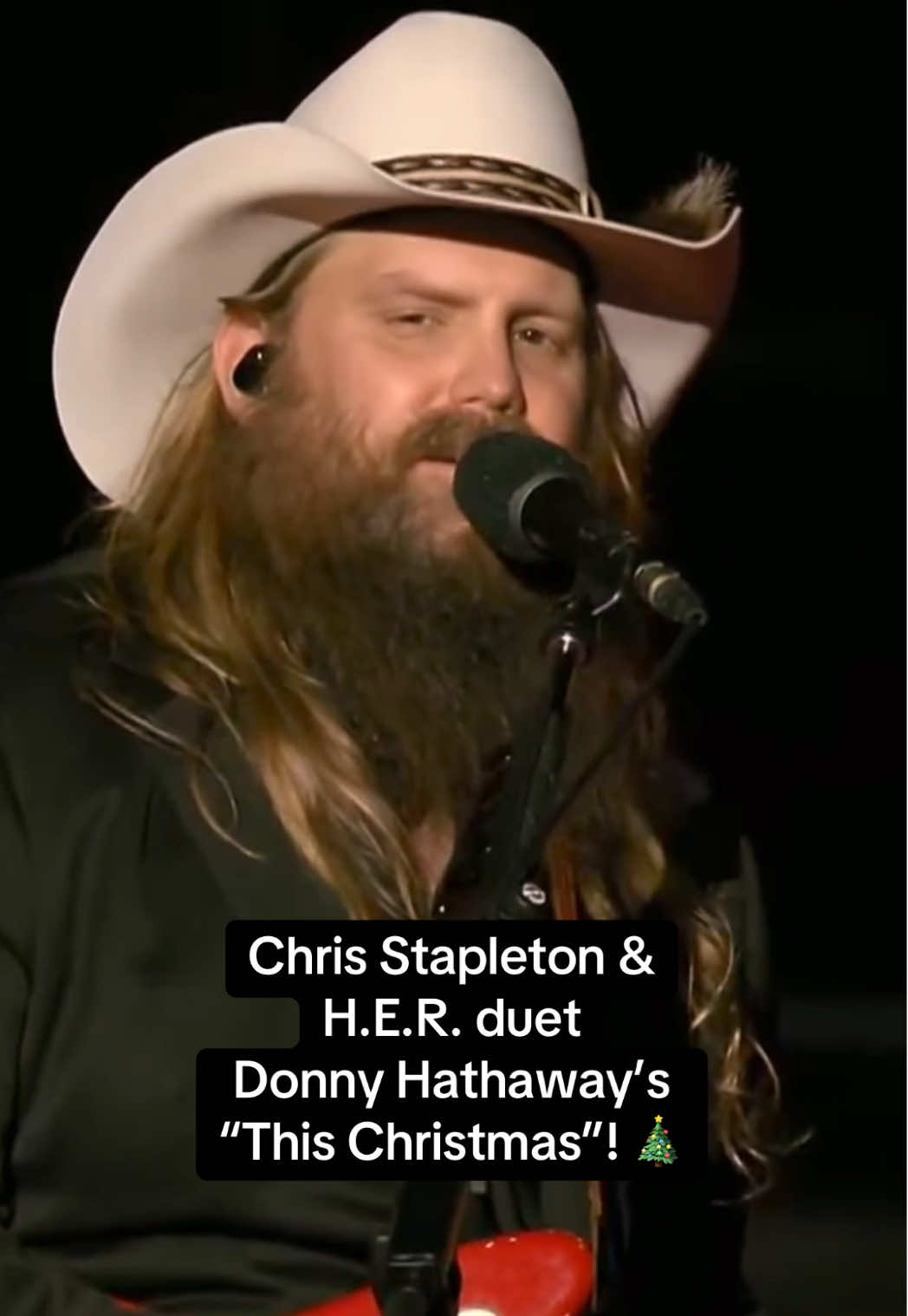 @Stapleton Fan