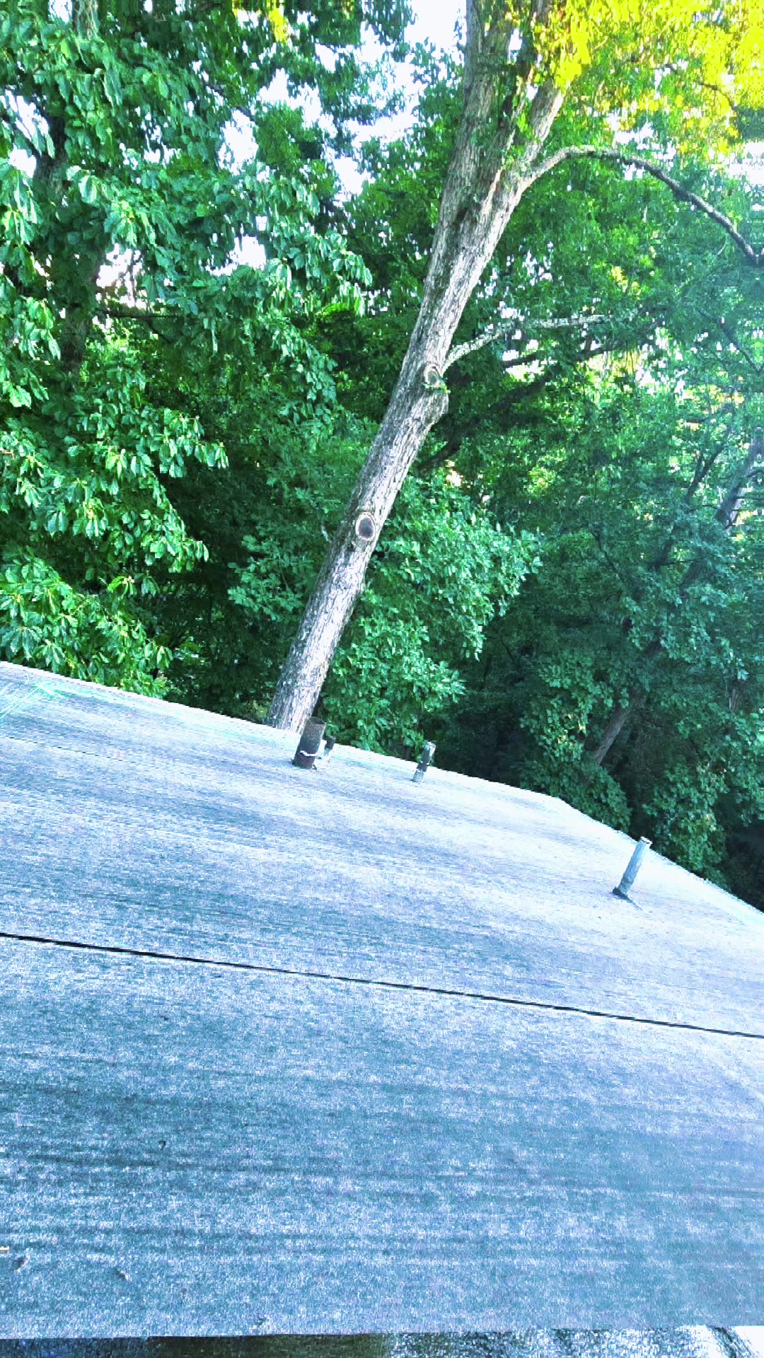 @RESCUE ROOFING