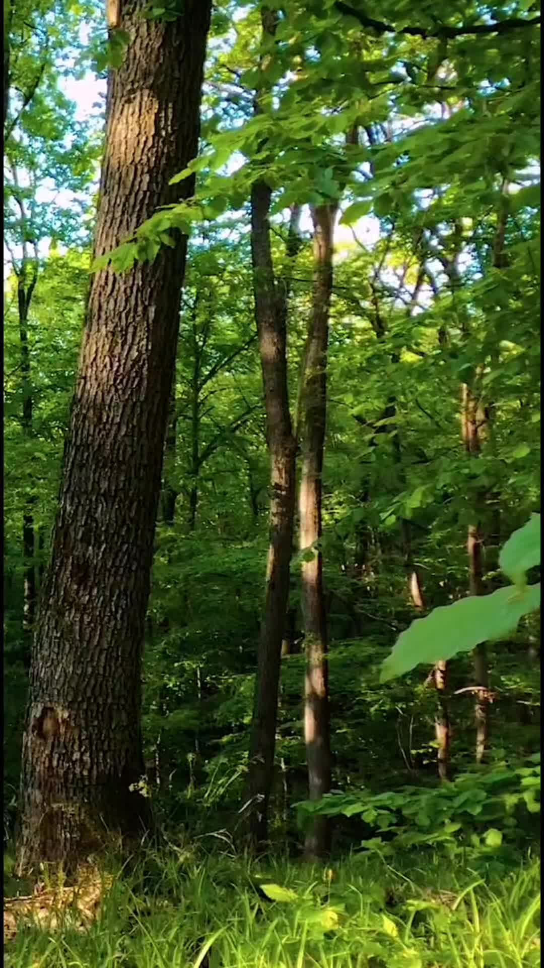@Архитектор души