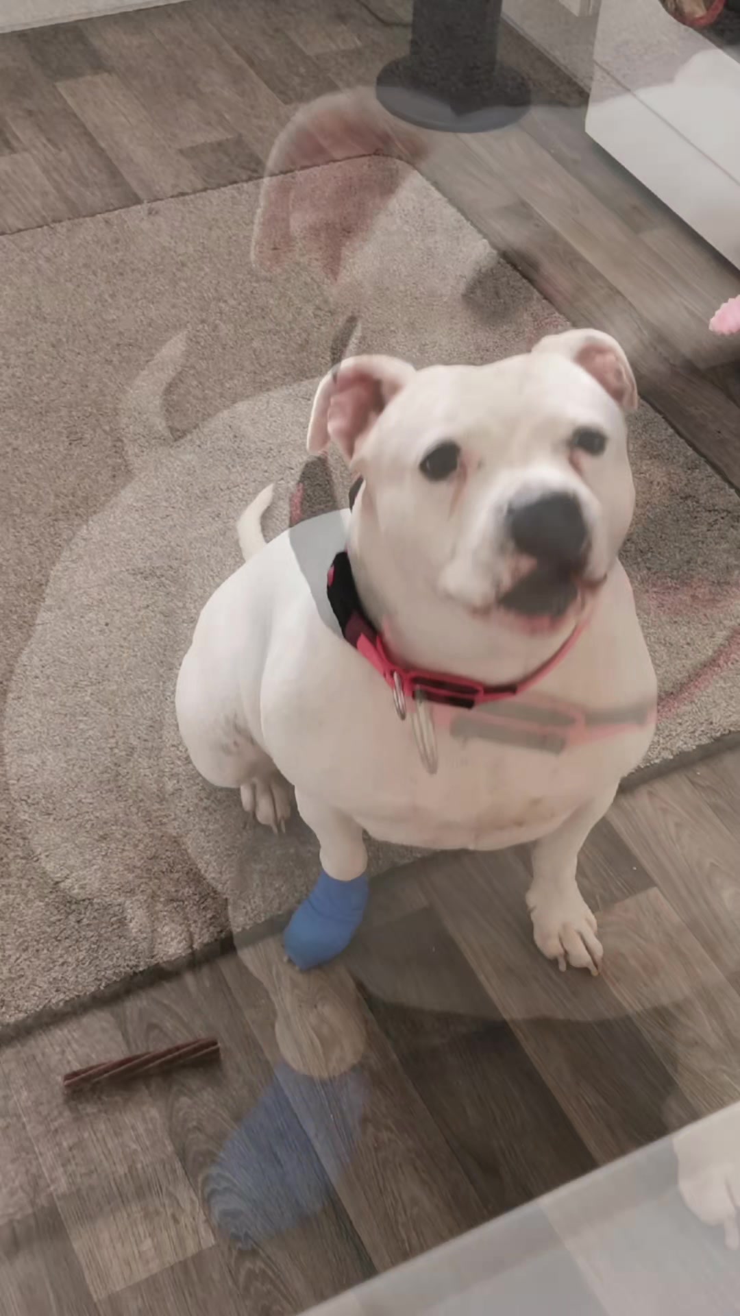 @Jay 💜🧘🏻&zwj;♂️☯️♾️♊️