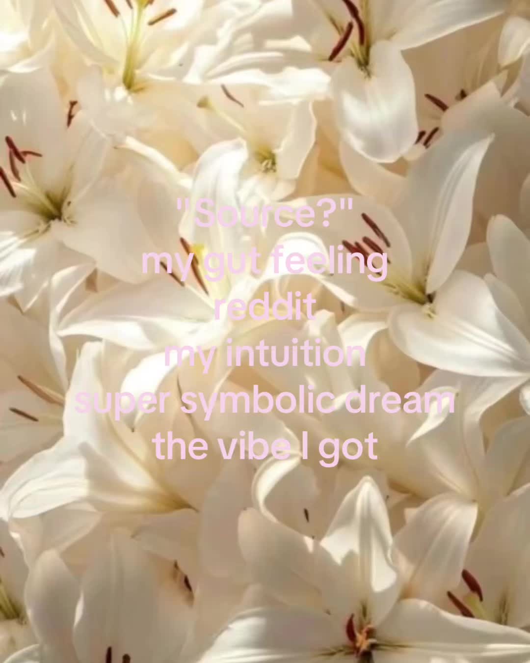 @Frachella