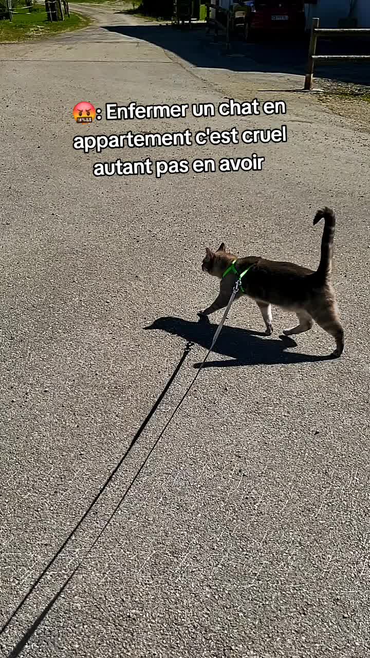 @La.petite.ferme
