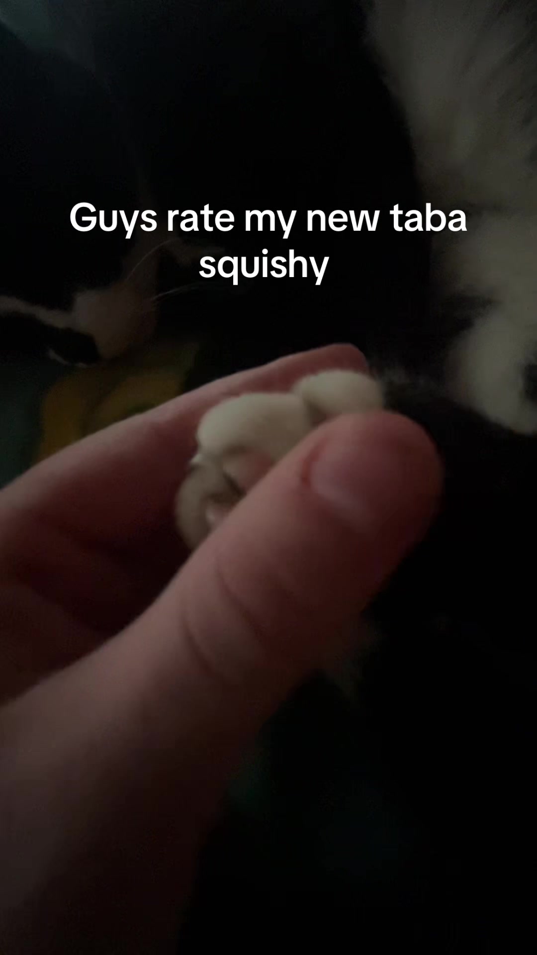 @Milla Fucking laamavauva