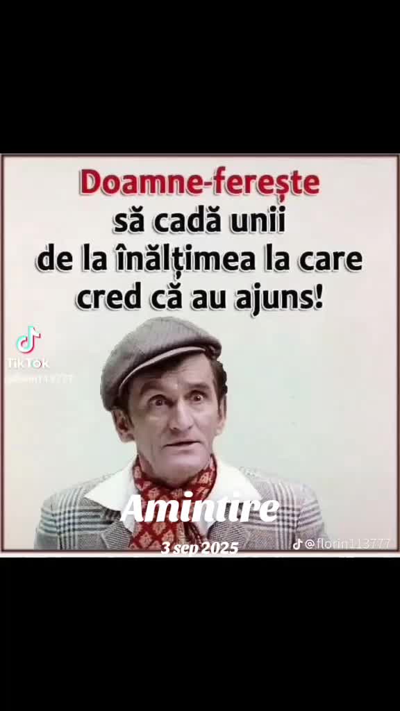 @mariamirela946