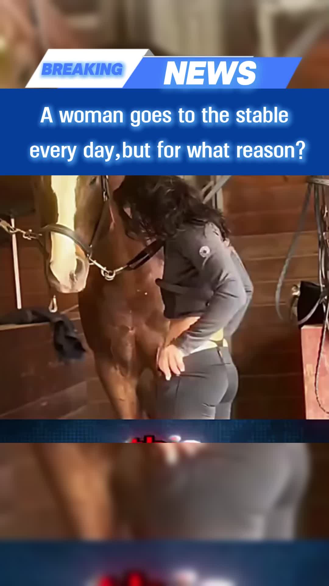 @travm1948