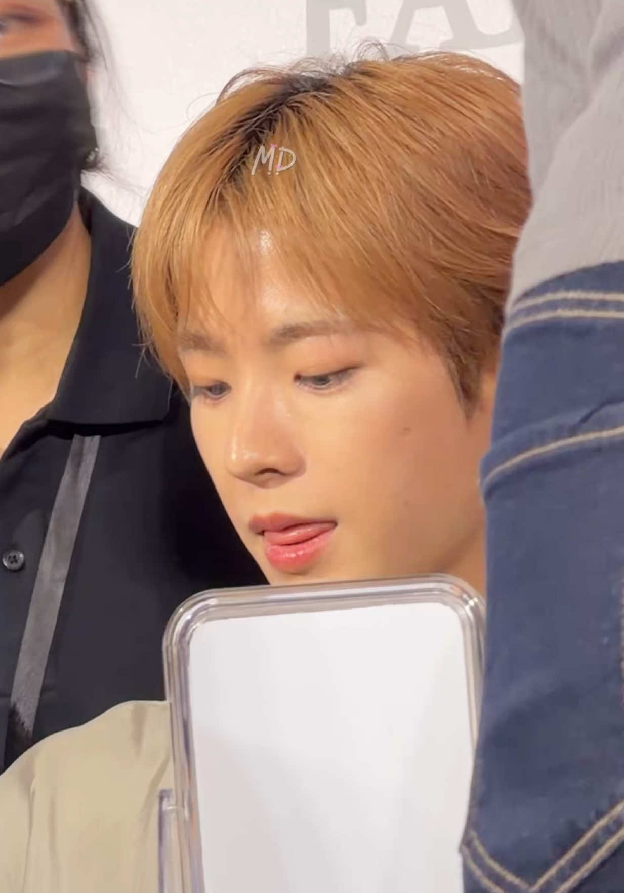 @น้องยูชิเป็นเกี๊ยวแมว 🥟🐈