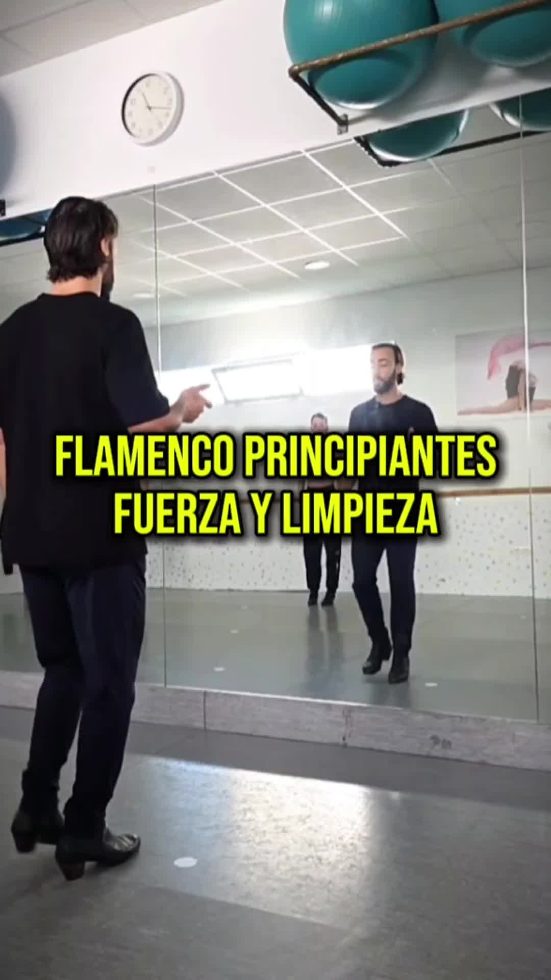 @Mario de los Santos Flamenco