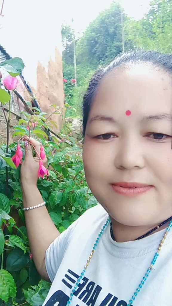 @maya