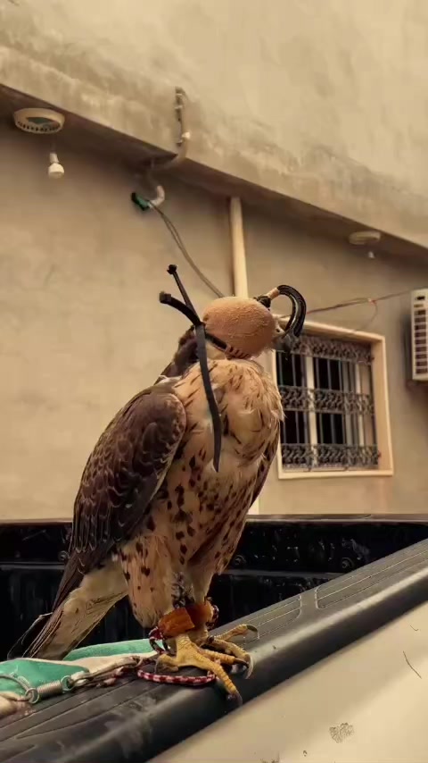 @โฝโโโ๐๐๐๐๐๐๐๐ โ: